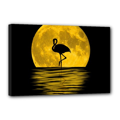 Moon Reflection Flamenco Animal Canvas 18  X 12  (stretched)