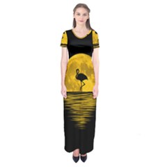 Moon Reflection Flamenco Animal Short Sleeve Maxi Dress