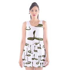 Snake Cobra Reptile Poisonous Scoop Neck Skater Dress