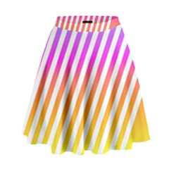 Abstract Lines Mockup Oblique High Waist Skirt