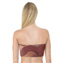 Autumn Copper Gradients Bandeau Top View2