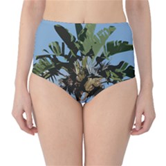 Palm Tree Classic High-waist Bikini Bottoms by snowwhitegirl