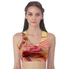 Arrangement Butterfly Pink Sports Bra