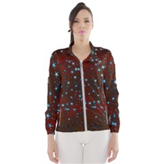 Background Star Christmas Women s Windbreaker by HermanTelo