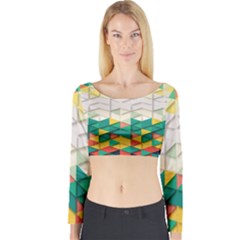 Background Triangle Long Sleeve Crop Top