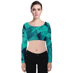 Background Texture Velvet Long Sleeve Crop Top