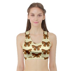 Butterflies Insects Pattern Sports Bra With Border