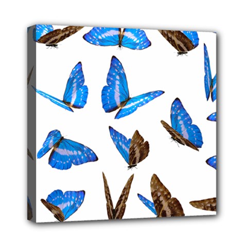 Butterfly Unique Background Mini Canvas 8  X 8  (stretched)