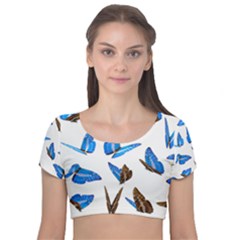 Butterfly Unique Background Velvet Short Sleeve Crop Top 