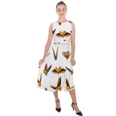 Butterflies Insect Swarm Midi Tie-back Chiffon Dress by HermanTelo