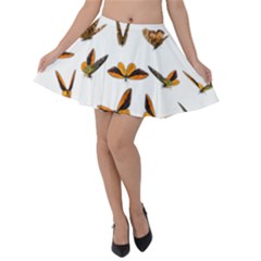 Butterflies Insect Swarm Velvet Skater Skirt