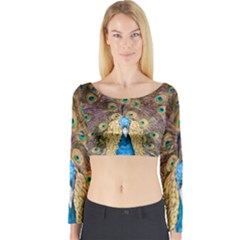 Bird Peacock Feather Long Sleeve Crop Top