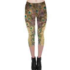 Bird Peacock Feather Capri Leggings 