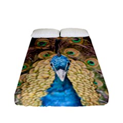 Bird Peacock Feather Fitted Sheet (full/ Double Size) by HermanTelo