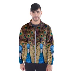 Bird Peacock Feather Men s Windbreaker