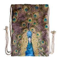 Bird Peacock Feather Drawstring Bag (large)