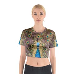 Bird Peacock Feather Cotton Crop Top