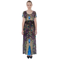 Bird Peacock Feather High Waist Short Sleeve Maxi Dress