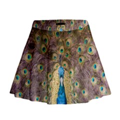 Bird Peacock Feather Mini Flare Skirt