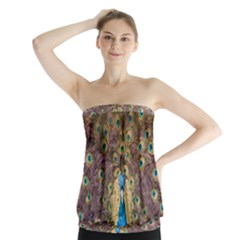 Bird Peacock Feather Strapless Top