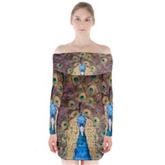 Bird Peacock Feather Long Sleeve Off Shoulder Dress by HermanTelo