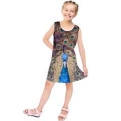 Bird Peacock Feather Kids  Tunic Dress