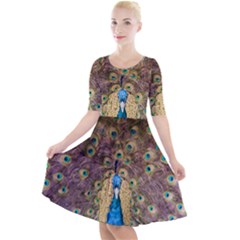 Bird Peacock Feather Quarter Sleeve A-line Dress