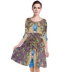 Bird Peacock Feather Quarter Sleeve Waist Band Dress