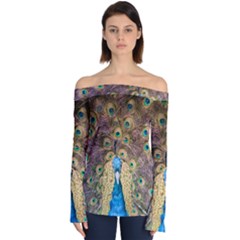 Bird Peacock Feather Off Shoulder Long Sleeve Top