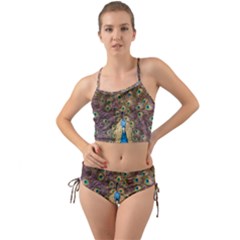 Bird Peacock Feather Mini Tank Bikini Set