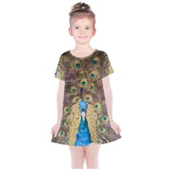 Bird Peacock Feather Kids  Simple Cotton Dress