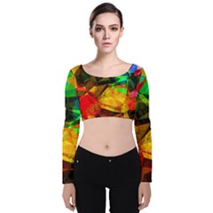 Color Abstract Polygon Velvet Long Sleeve Crop Top