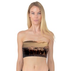 Elephant Dust Road Africa Savannah Bandeau Top by HermanTelo