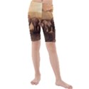 Elephant Dust Road Africa Savannah Kids  Mid Length Swim Shorts View1