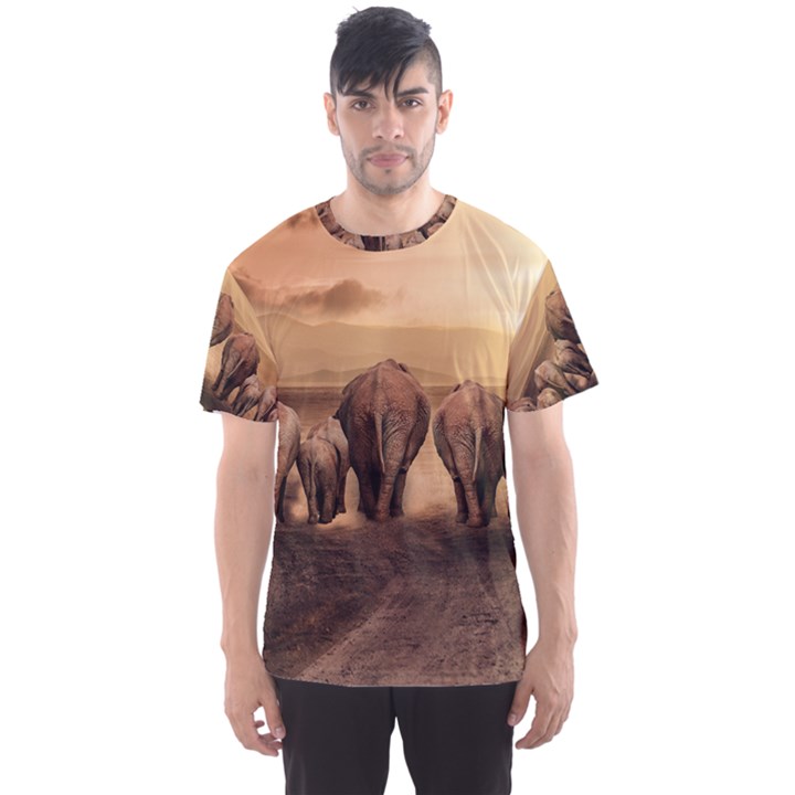 Elephant Dust Road Africa Savannah Men s Sports Mesh Tee