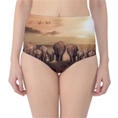 Elephant Dust Road Africa Savannah Classic High-waist Bikini Bottoms