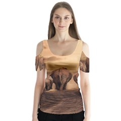 Elephant Dust Road Africa Savannah Butterfly Sleeve Cutout Tee 