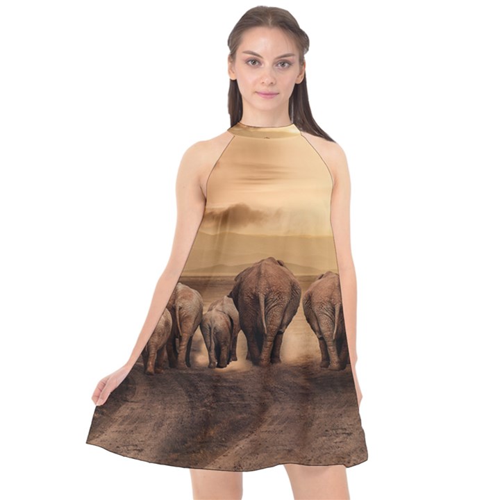 Elephant Dust Road Africa Savannah Halter Neckline Chiffon Dress 