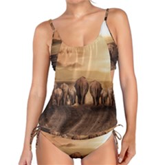 Elephant Dust Road Africa Savannah Tankini Set