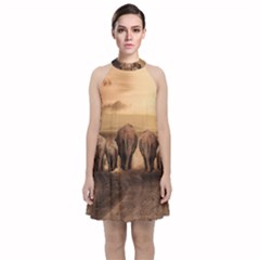 Elephant Dust Road Africa Savannah Velvet Halter Neckline Dress 