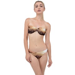 Elephant Dust Road Africa Savannah Classic Bandeau Bikini Set by HermanTelo