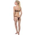 Elephant Dust Road Africa Savannah Classic Bandeau Bikini Set View2