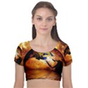 Earth Globe Water Fire Flame Velvet Short Sleeve Crop Top  View1