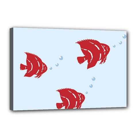 Fish Red Sea Water Swimming Canvas 18  X 12  (stretched)