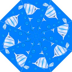 Fish School Bubbles Underwater Sea Straight Umbrellas