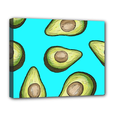 Fruite Avocado Deluxe Canvas 20  X 16  (stretched)