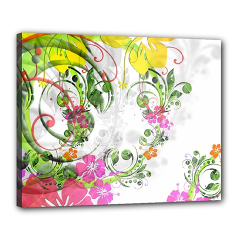 Flowers Floral Canvas 20  X 16  (stretched)