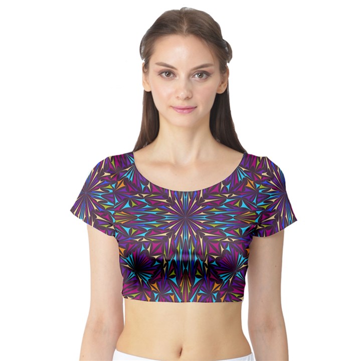 Kaleidoscope Triangle Curved Short Sleeve Crop Top