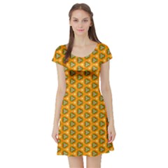 Pattern Halloween Pumpkin Color Leaf Short Sleeve Skater Dress by HermanTelo