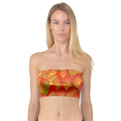 Pattern Texture Leaf Bandeau Top